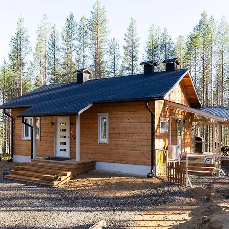 Winter - Valkea Homes * Pyhatunturi